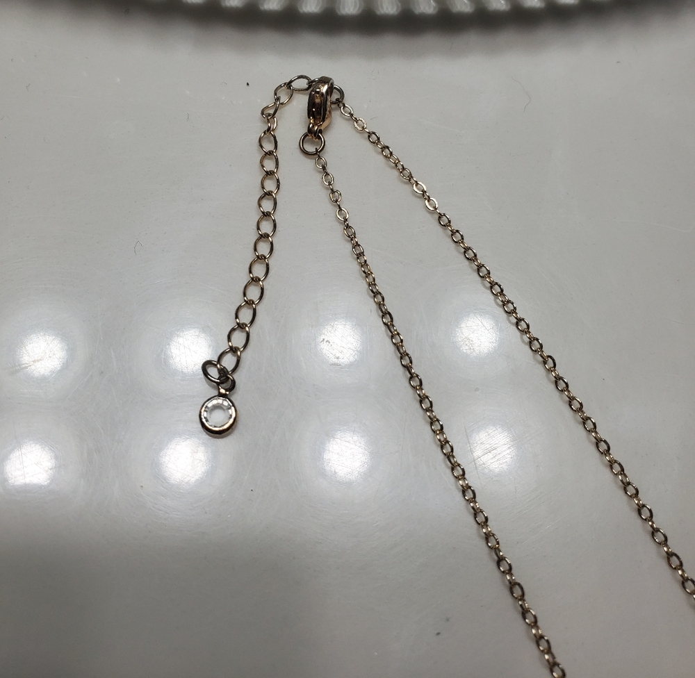 Reversible "N" Initial Necklace - image 4